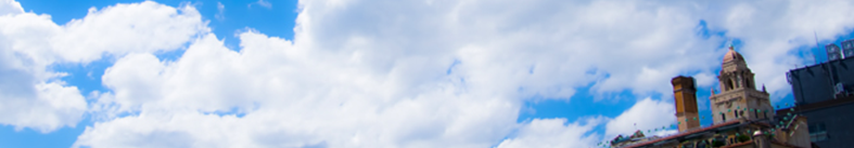 犬　用品　に関する最新ニュース